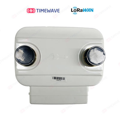 Long Range Class AB Direct Connected Wall Mounted Gas Meter With LCD Screen And 3000m
